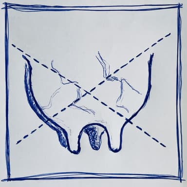 Náhrady mliečnych produktov