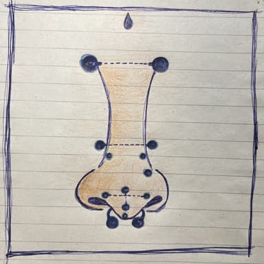 Druhy piercingov do nosa