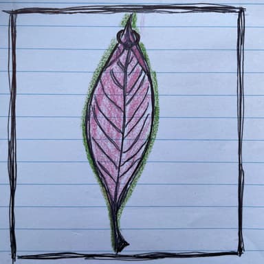 Ozdoby tela, ktoré vidí málokto (1. časť)