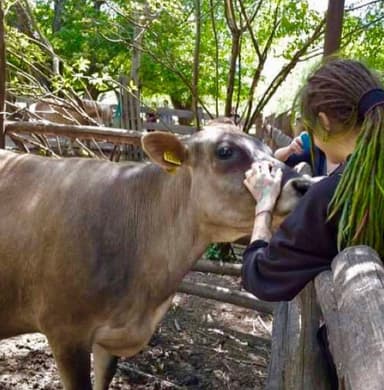 Moja cesta k vegánstvu